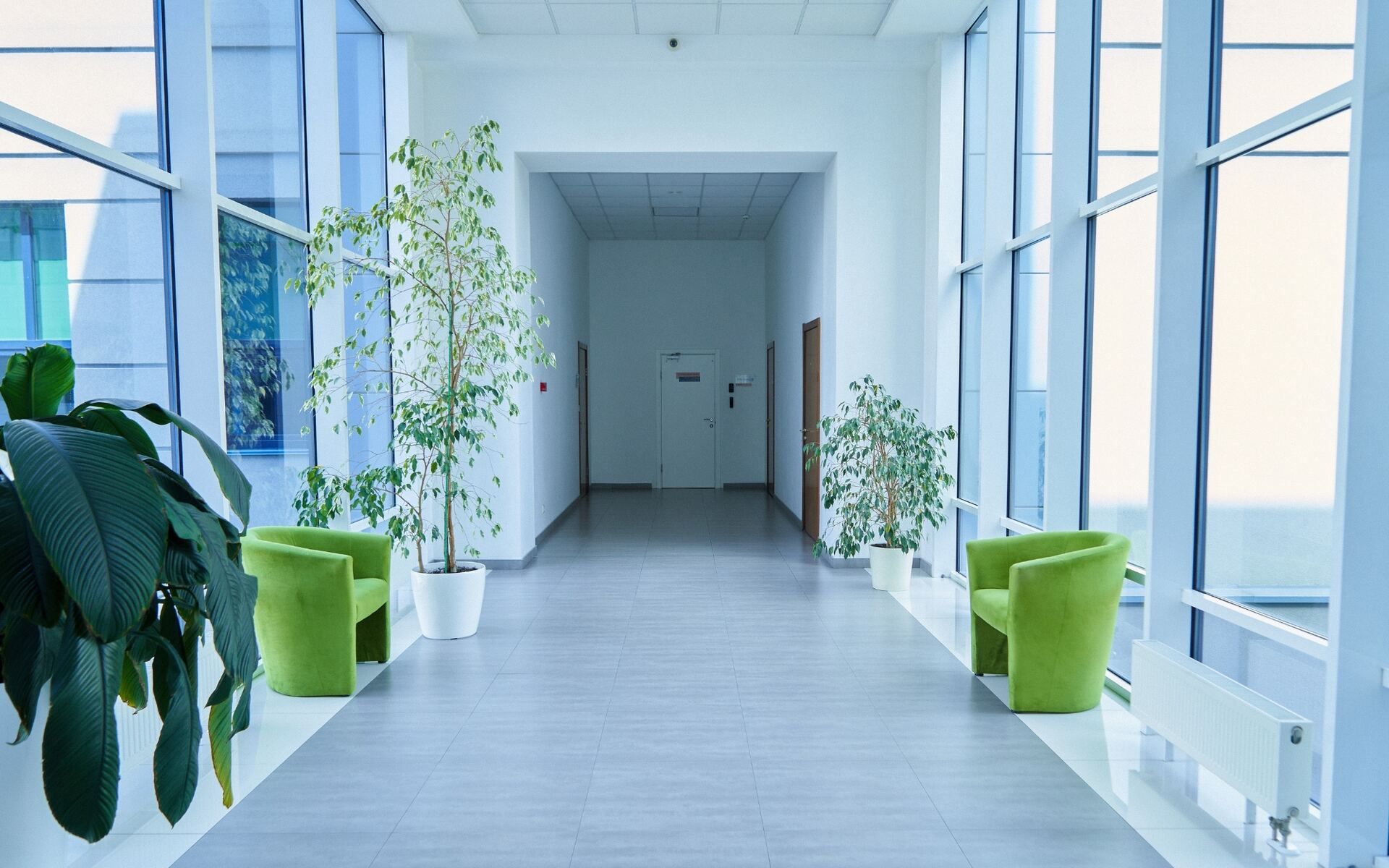 Commercial painting project in a polished business interior